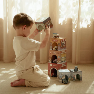 Little Dutch “Stapelblokken met auto’s FSC”