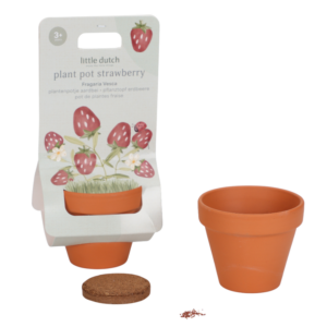 Plantenpotje Aardbei