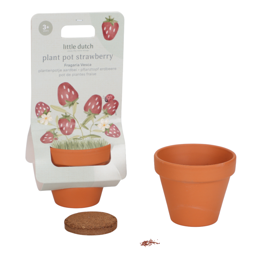 Plantenpotje Aardbei