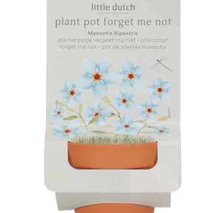 Plantenpotje Vergeet-Mij-Nietjes