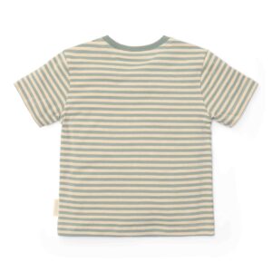 T-shirt korte mouw Forest Green Stripe