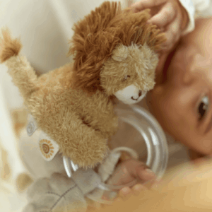 Ringrammelaar Leeuw – Safari Friends GRS