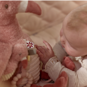 Activiteitenknuffel Flamingo – Roze